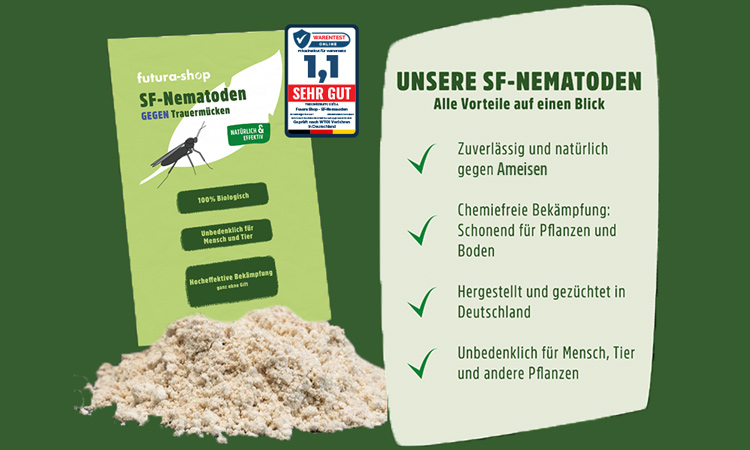 nematoden-gegen-ameisen.jpg