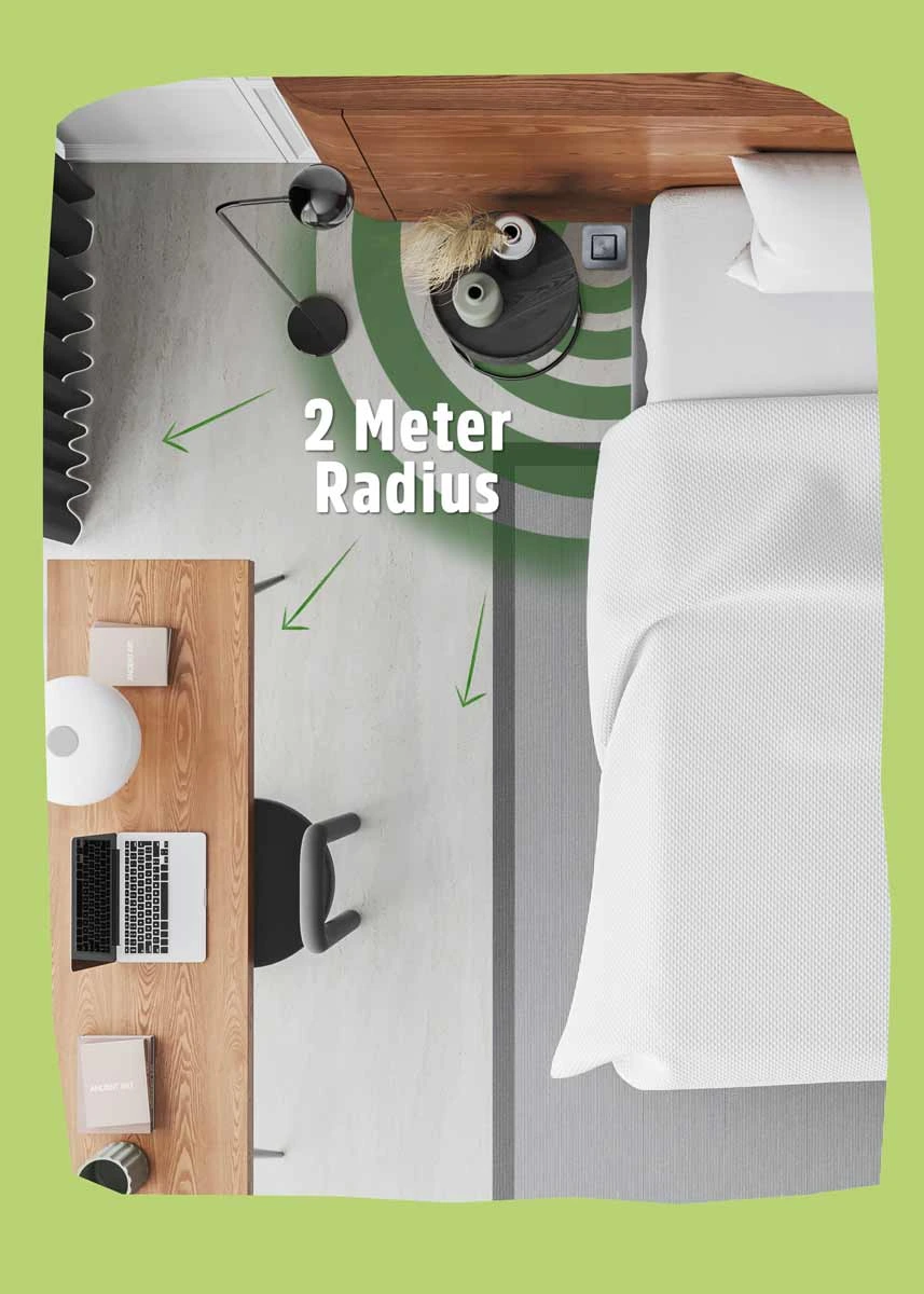 Bettwanzen Falle  Bettwanzen Falle