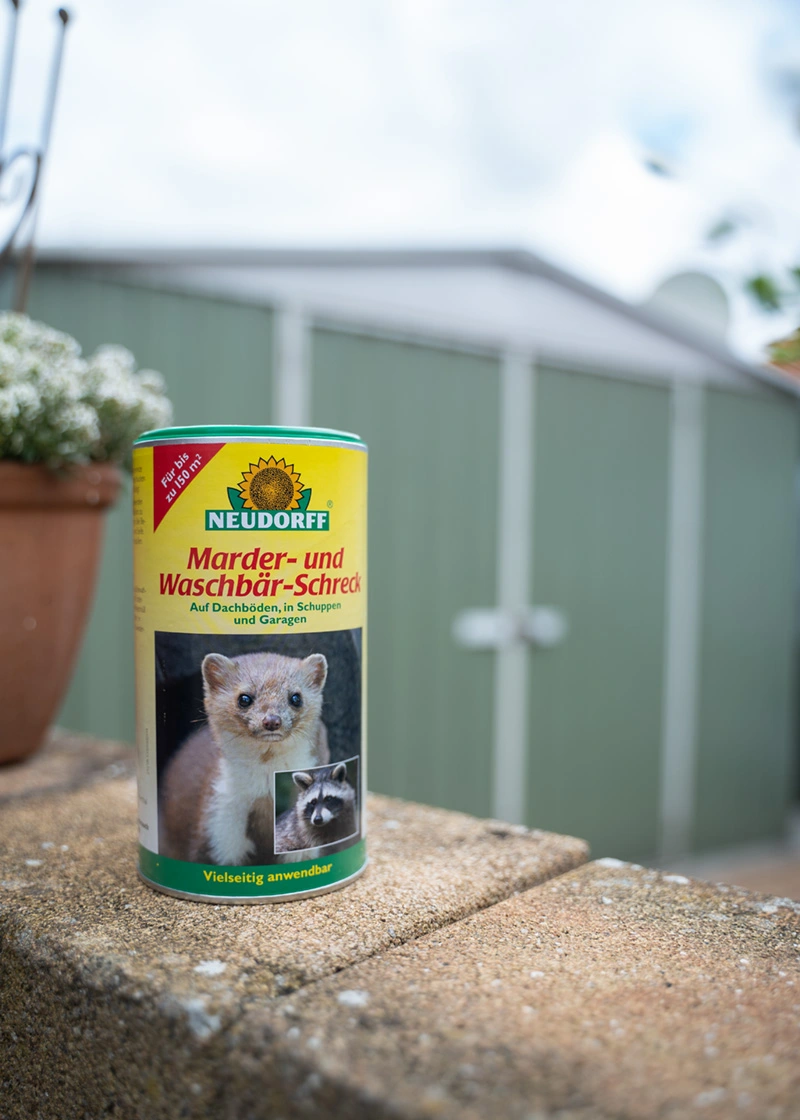 DSC06708_Edit Marder- und Waschbär-Schreck