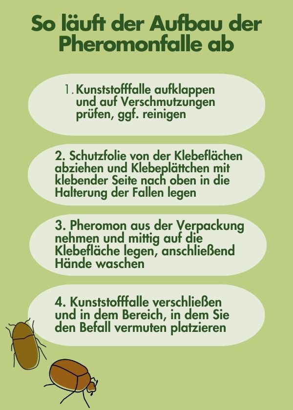 8c6WK6pAvdo2pZ Tabakkäfer Pheromonfalle Aufbau