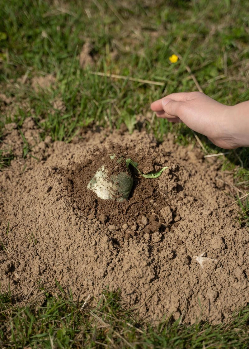 08_DSC06571 Maulwurfschreck