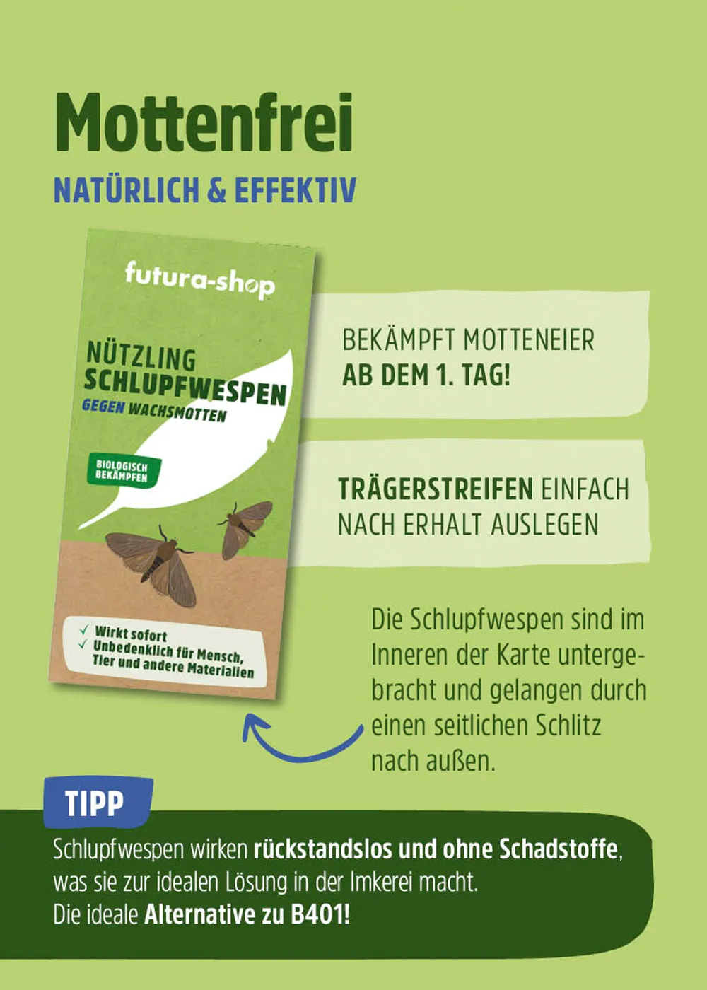 Schlupfwespen – Mittel gegen Wachsmotten Schlupfwespen – Mittel gegen Wachsmotten