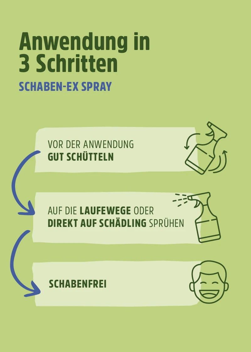 Kakerlaken Spray | Schaben Spray - Wirkungsvoller Schutz Kakerlaken Spray | Schaben Spray - Wirkungsvoller Schutz