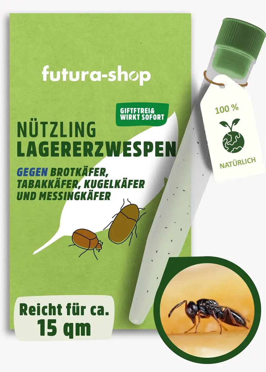 Schlupfwespen "Lagererzwespen" gegen Brotkäfer, Tabakkäfer, Kugelkäfer, Messingkäfer | biologisch