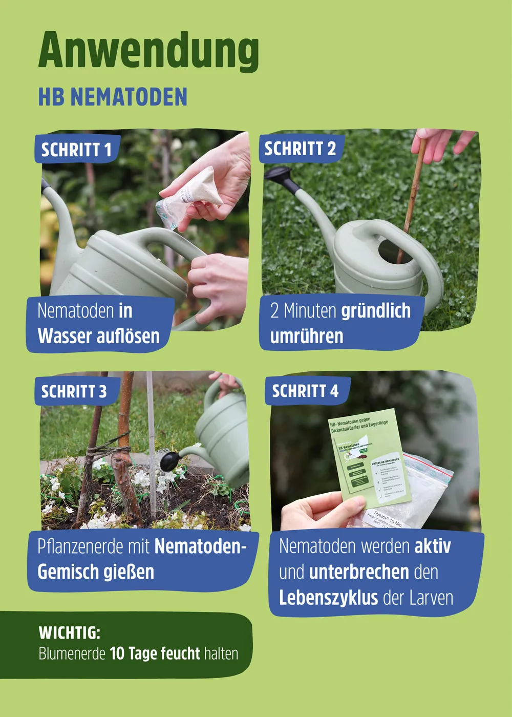 HB Nematoden gegen Junikäfer - 10 Mio.  HB Nematoden gegen Junikäfer - 10 Mio.