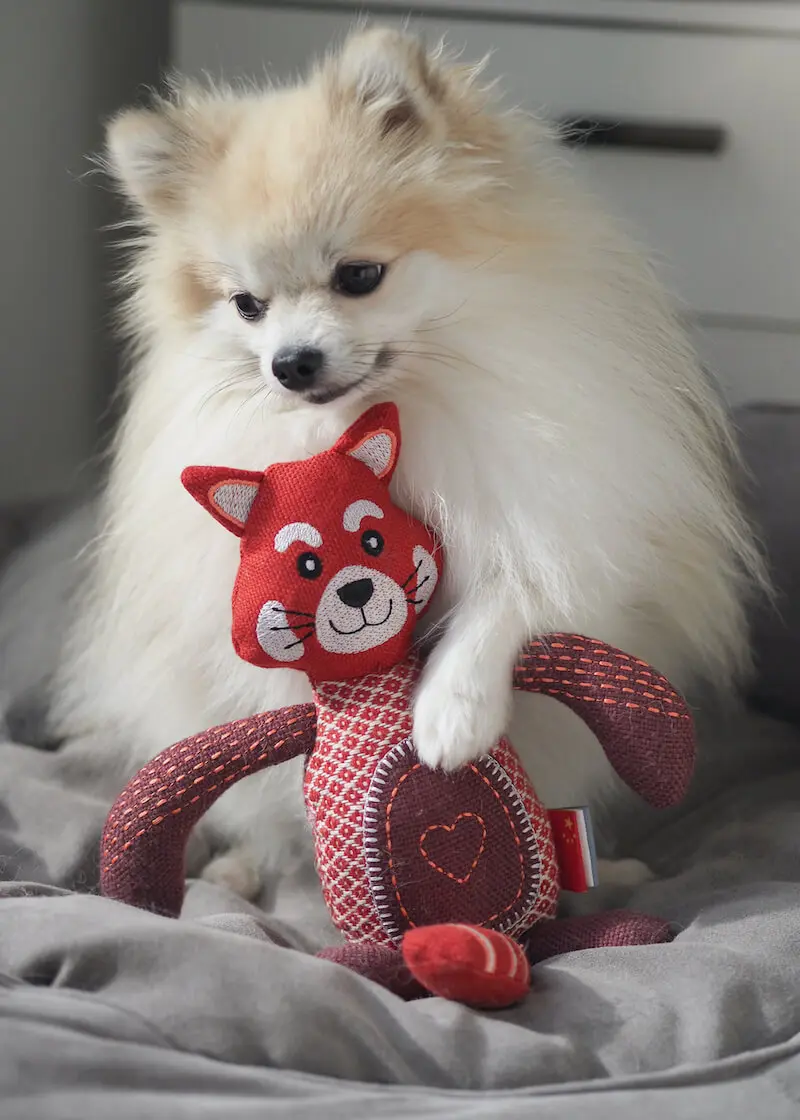 greenhero_hunde_spielzeug_roter_panther_01 Hundespielzeug Roter Panther