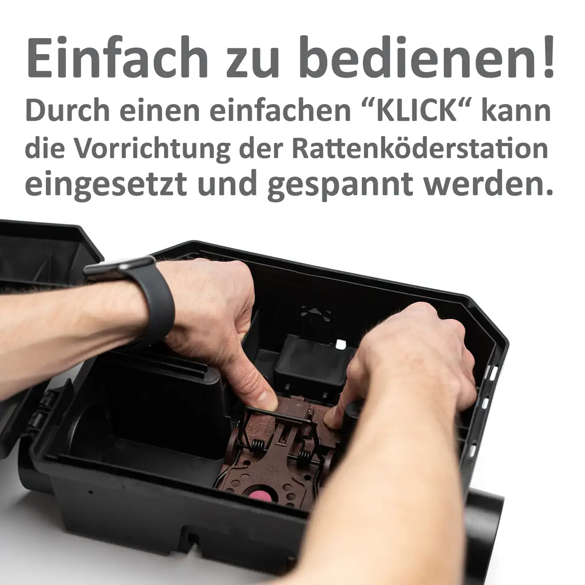 Rattenfalle VANGUARD | Ratten im Garten | Ratten bekämpfen | Ratten fangen mit Schlagfallen Rattenfalle VANGUARD | Ratten im Garten | Ratten bekämpfen | Ratten fangen mit Schlagfallen