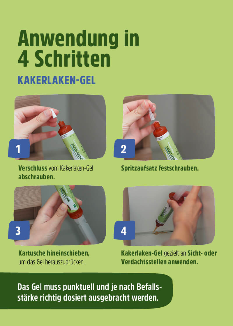 Kakerlaken Gel Kakerlaken Gel