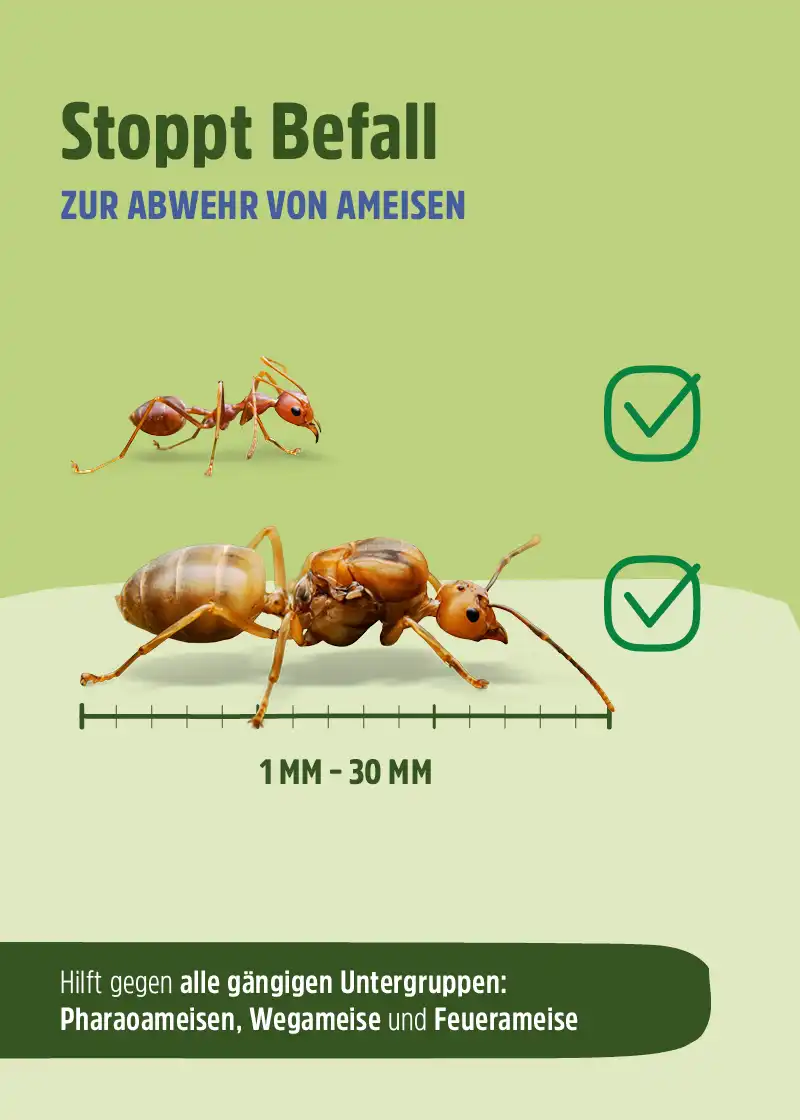 Ameisenspray | Ameisen Ex mit Langzeitwirkung Ameisenspray | Ameisen Ex mit Langzeitwirkung