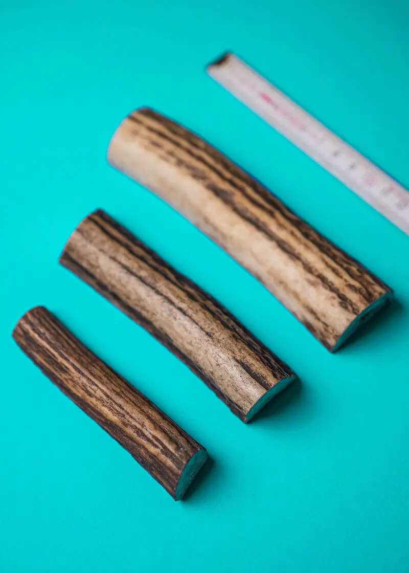 greenhero_kaustange_hirschgeweih_01 Hirschgeweih Kaustange L | für Hunde von Hunde von 12 -17 kg