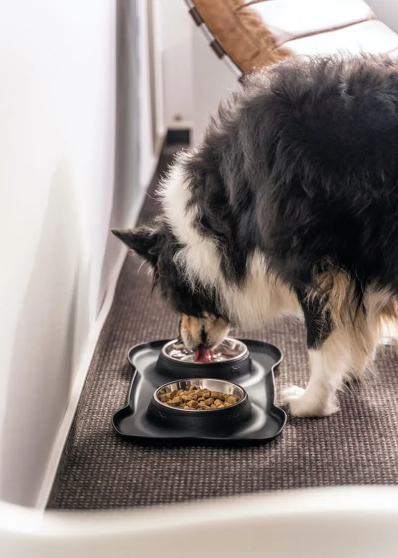 greenhero_futter_trinknapf_anwendung_01 Futter- und Trinknapf mit Silikonmatte