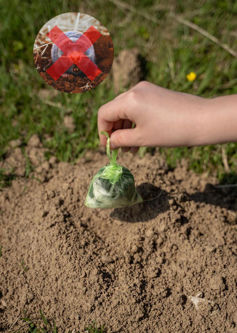 DSC06567_Durchgestrichen_Edit Maulwurfschreck