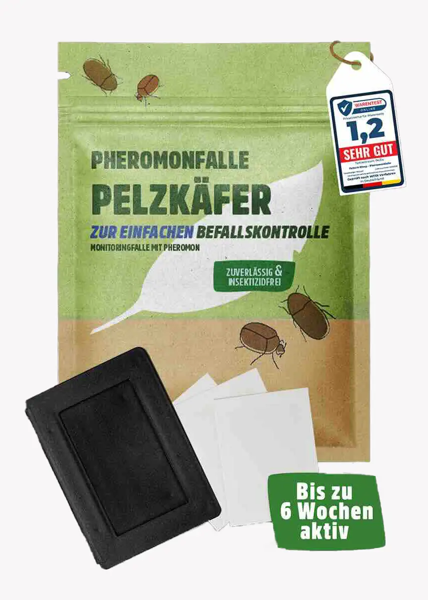 Pelzkäfer Pheromonfalle | Klebefalle