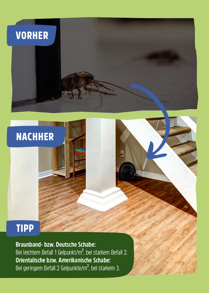 Kakerlaken Gel Kakerlaken Gel