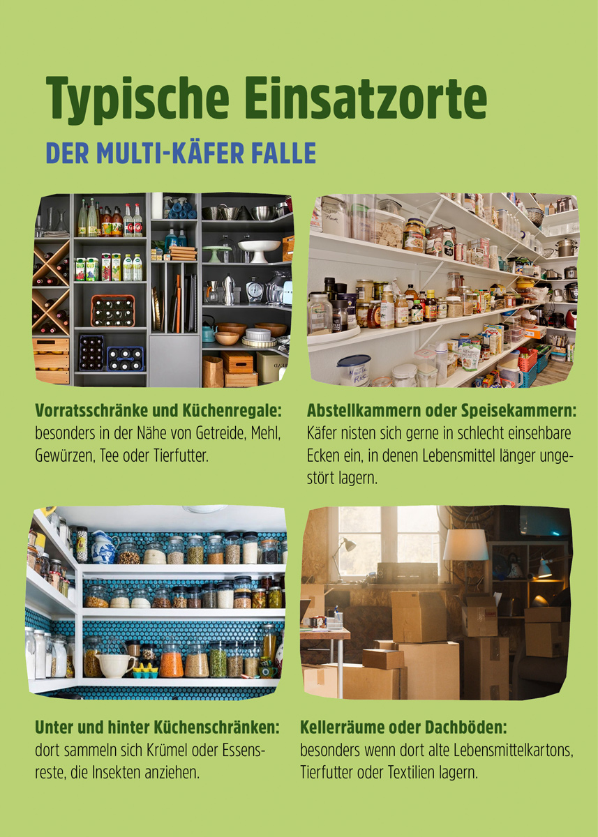 Multi-Käferfalle Multi-Käferfalle