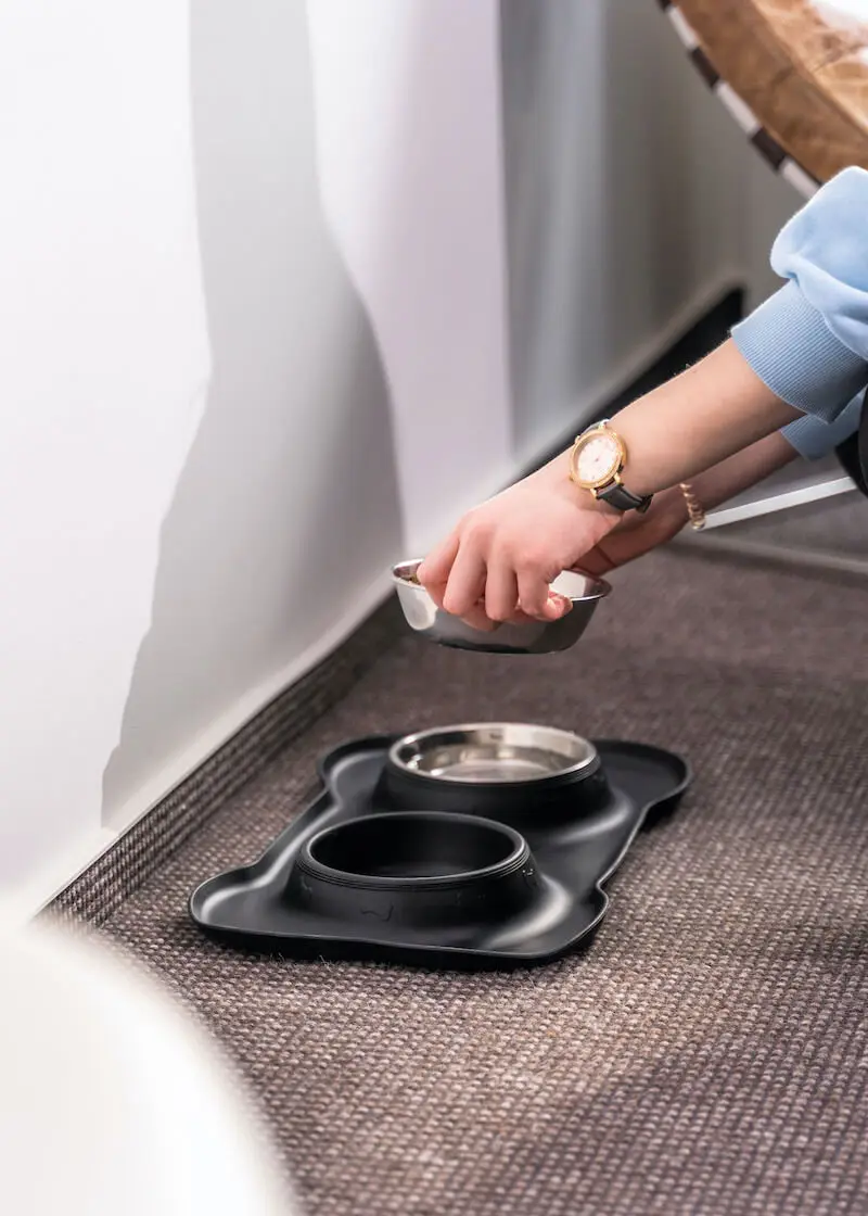 greenhero_futter_trinknapf_anwendung_04 Futter- und Trinknapf mit Silikonmatte
