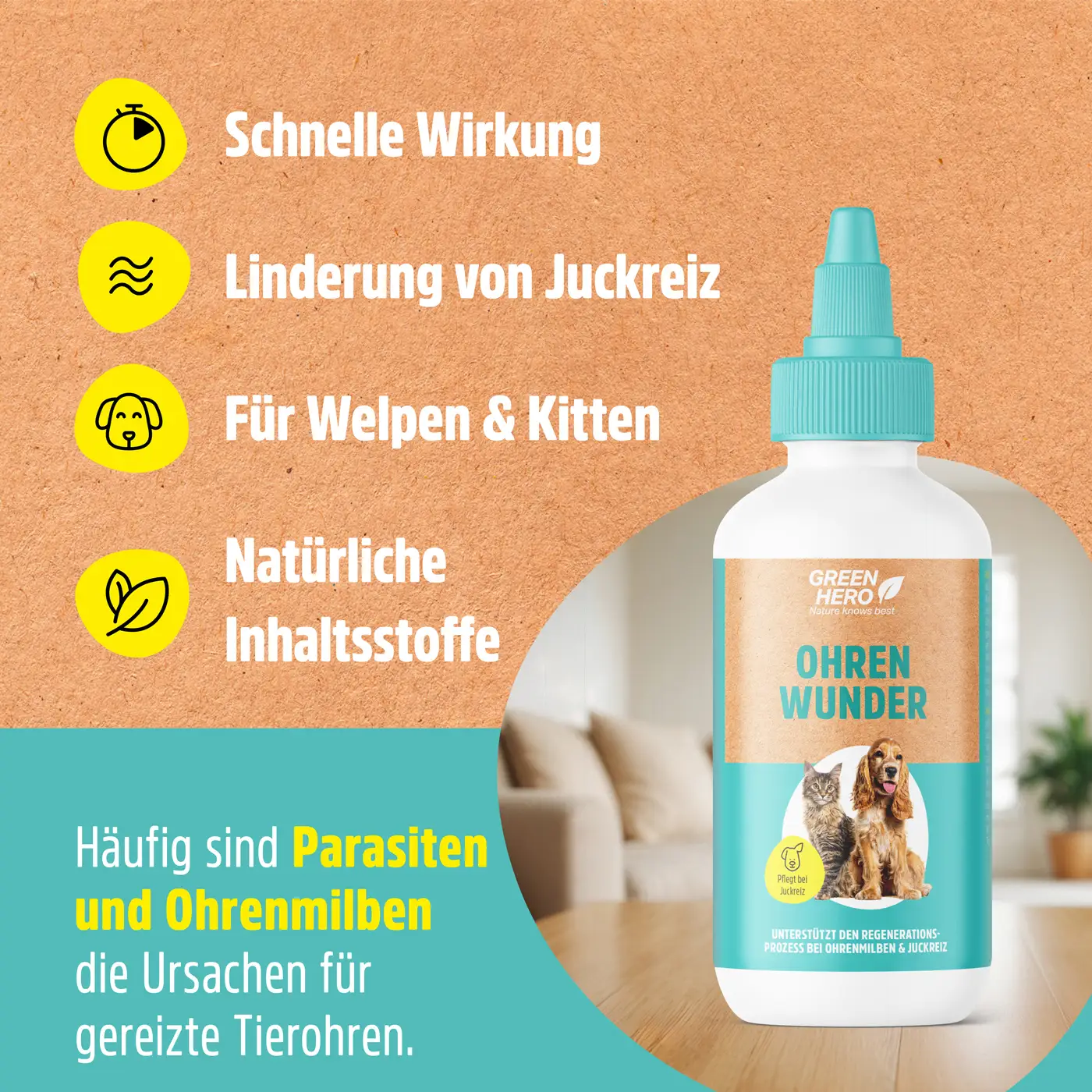 Ohrenwunder pflegt das Ohr bei Ohrenmilben