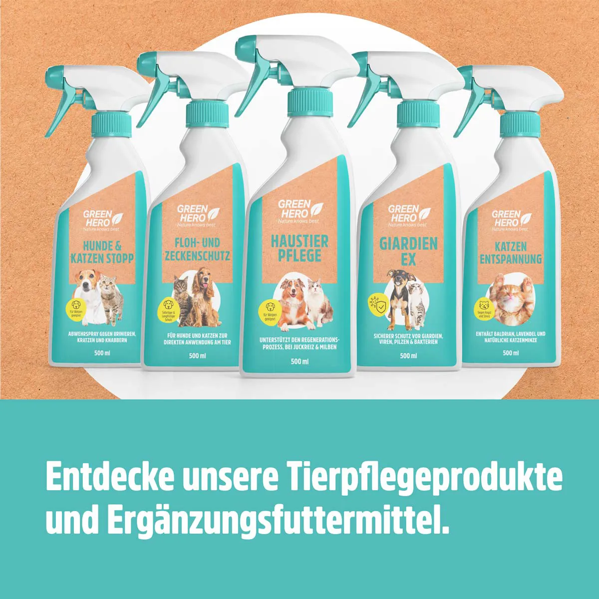 Haustierpflege pflegt die Haut bei Juckreiz und Milben Haustierpflege pflegt die Haut bei Juckreiz und Milben