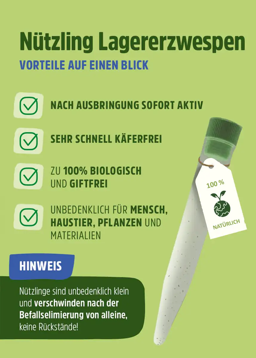 Schlupfwespen "Lagererzwespen" gegen Brotkäfer, Tabakkäfer, Kugelkäfer, Messingkäfer | biologisch Schlupfwespen "Lagererzwespen" gegen Brotkäfer, Tabakkäfer, Kugelkäfer, Messingkäfer | biologisch