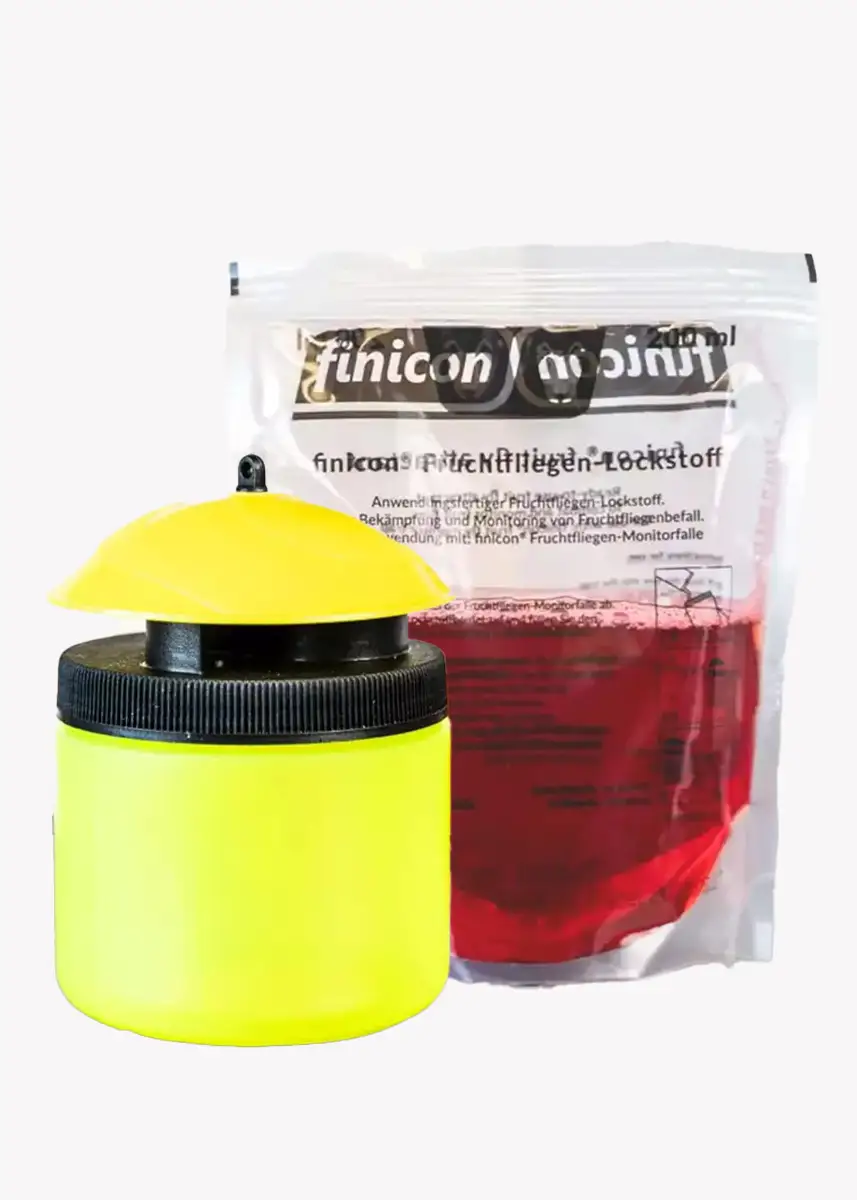 Fruchtfliegen | Obstfliegenfalle FINICON inkl. Lockmittel