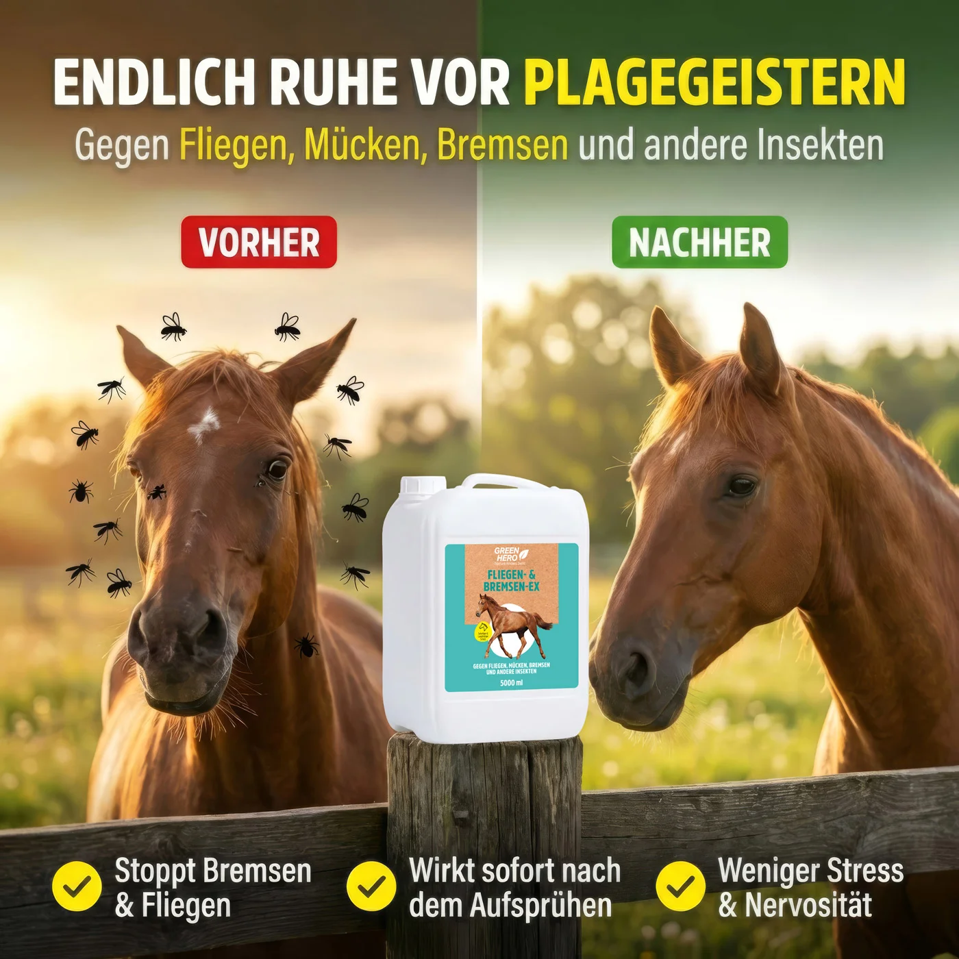 Bremsen-Ex Kanister Bremsen-Ex Kanister