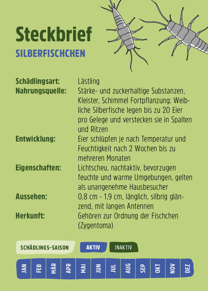 Silberfisch Spray Silberfisch Spray