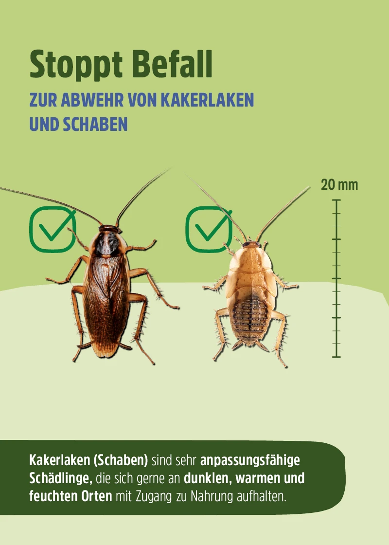 Kakerlaken Spray | Schaben Spray - Wirkungsvoller Schutz Kakerlaken Spray | Schaben Spray - Wirkungsvoller Schutz