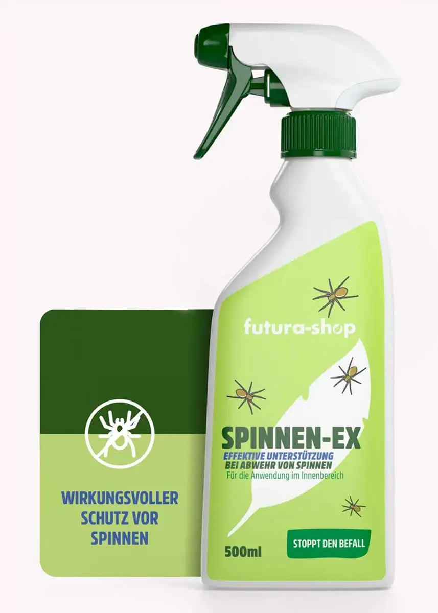 Spinnenspray "Spinnen-Ex" | Effektive Spinnen-Abwehr Spinnenspray "Spinnen-Ex" | Effektive Spinnen-Abwehr