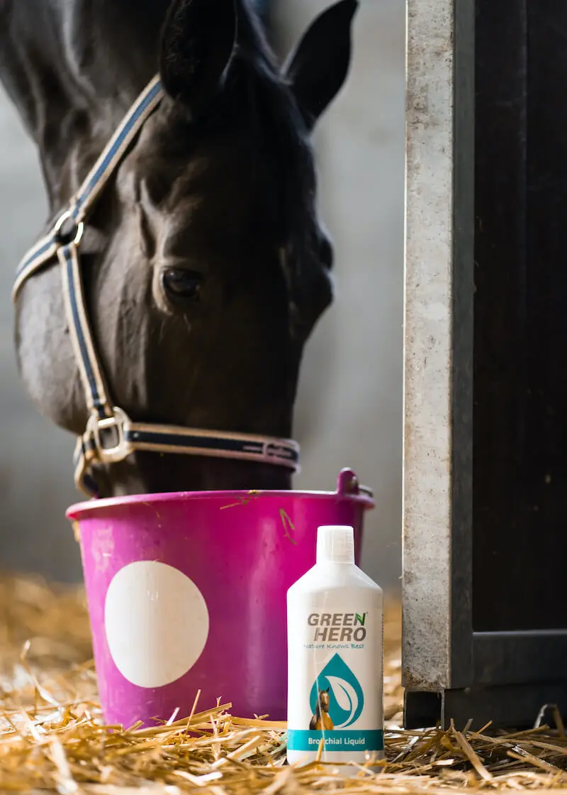 greenhero_bronchial_liquid_lifestyle_04 Bronchial Liquid für Pferde mit Kräutern