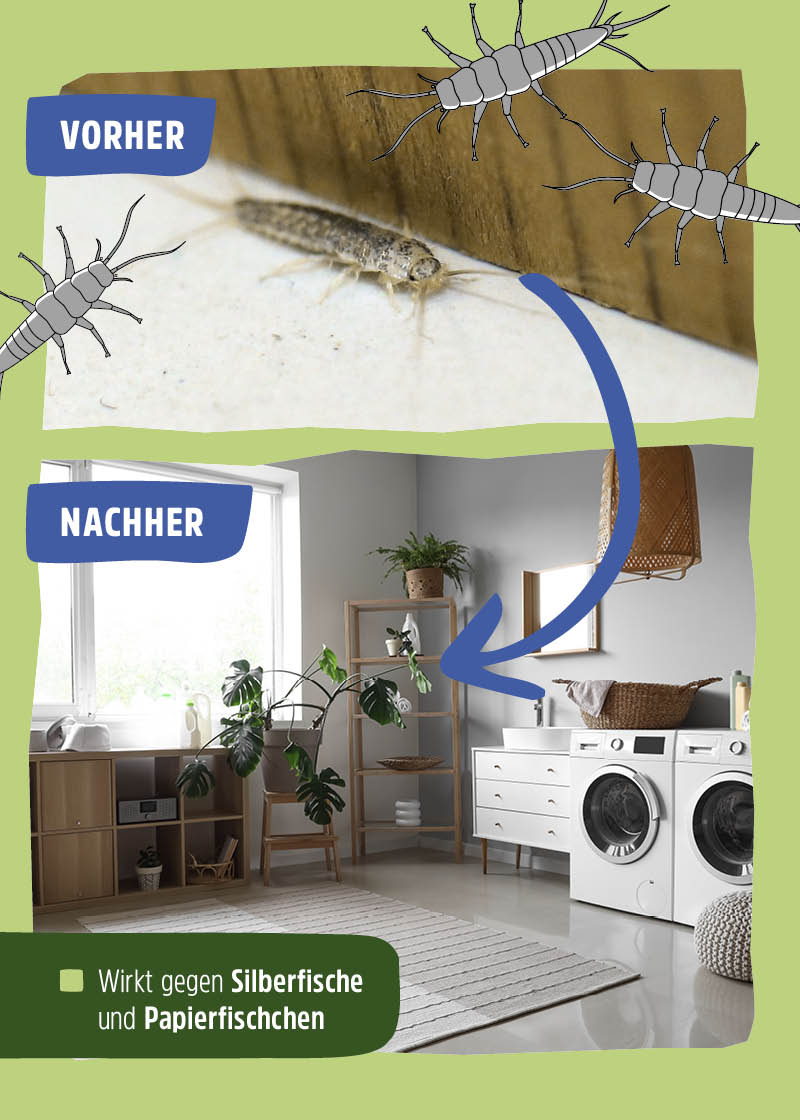 Silberfisch Spray Silberfisch Spray