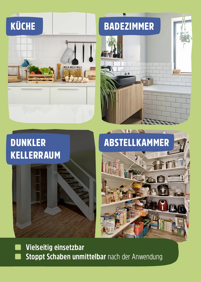 Kakerlaken Spray | Schaben Spray - Wirkungsvoller Schutz Kakerlaken Spray | Schaben Spray - Wirkungsvoller Schutz