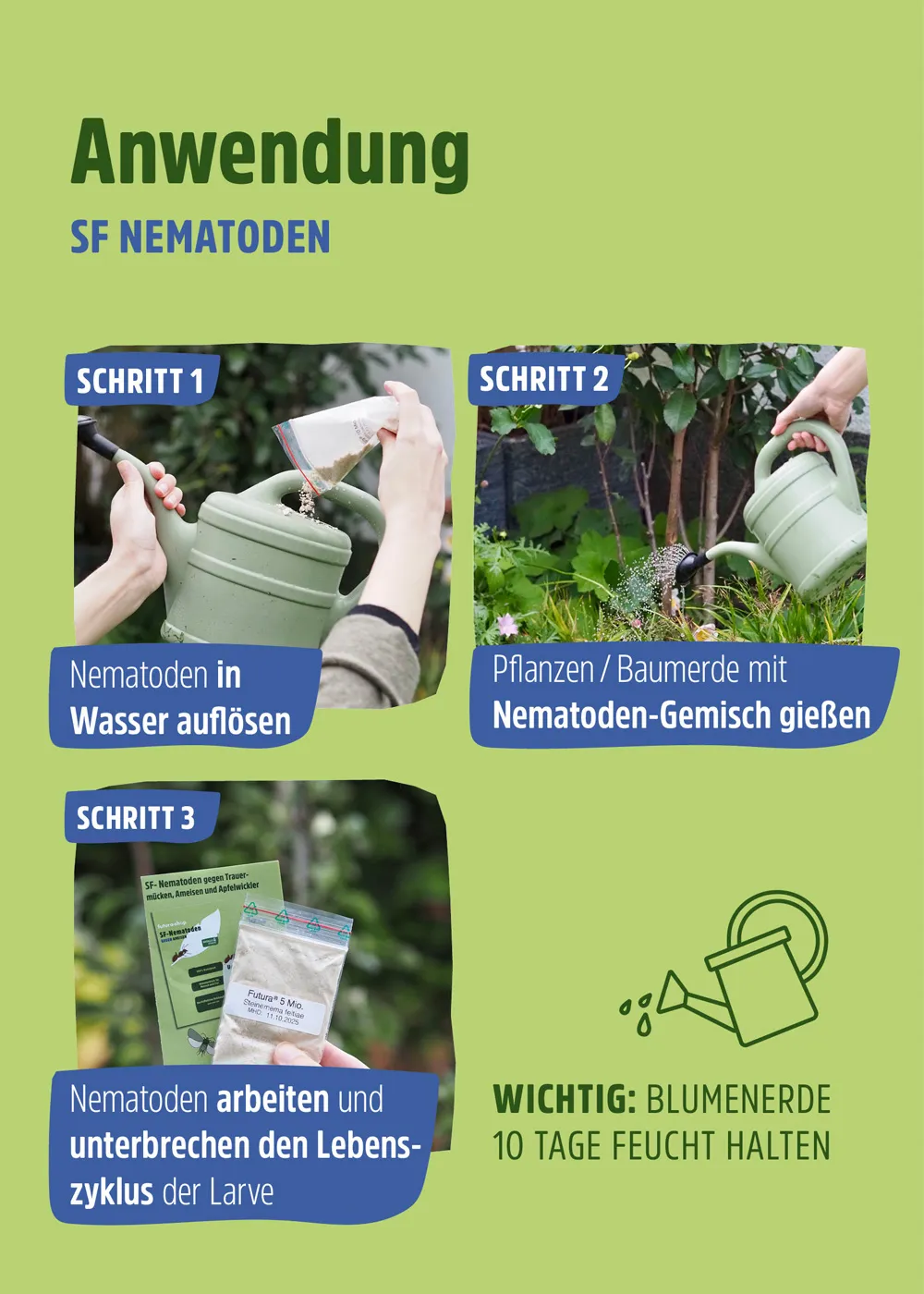 SF Nematoden gegen Ameisen SF Nematoden gegen Ameisen
