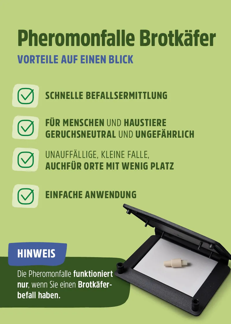 Brotkäfer Pheromonfalle Brotkäfer Pheromonfalle
