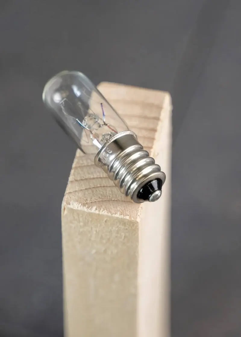 Ersatzbirne für Floh Falle | Flohlichtfalle Ersatzbirne für Floh Falle | Flohlichtfalle