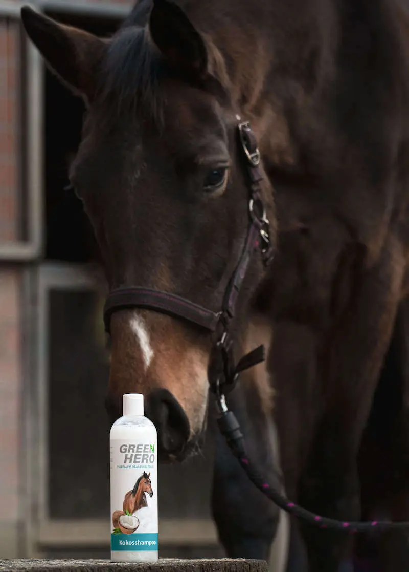 greenhero_kokosshampoo_anwendung Pferdeshampoo Kokos