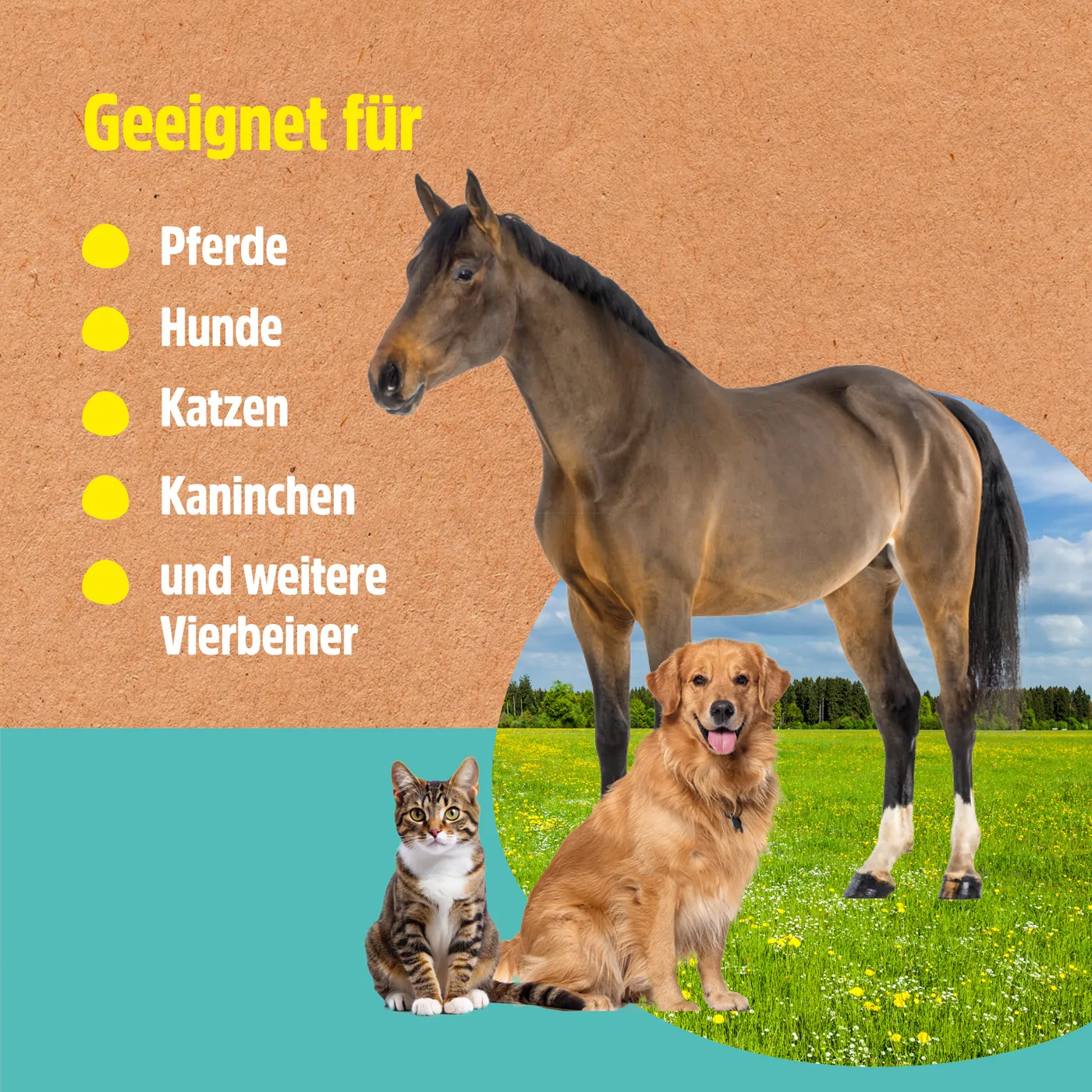 Lebertran-Zinksalbe pflegt die Haut bei Reizungen