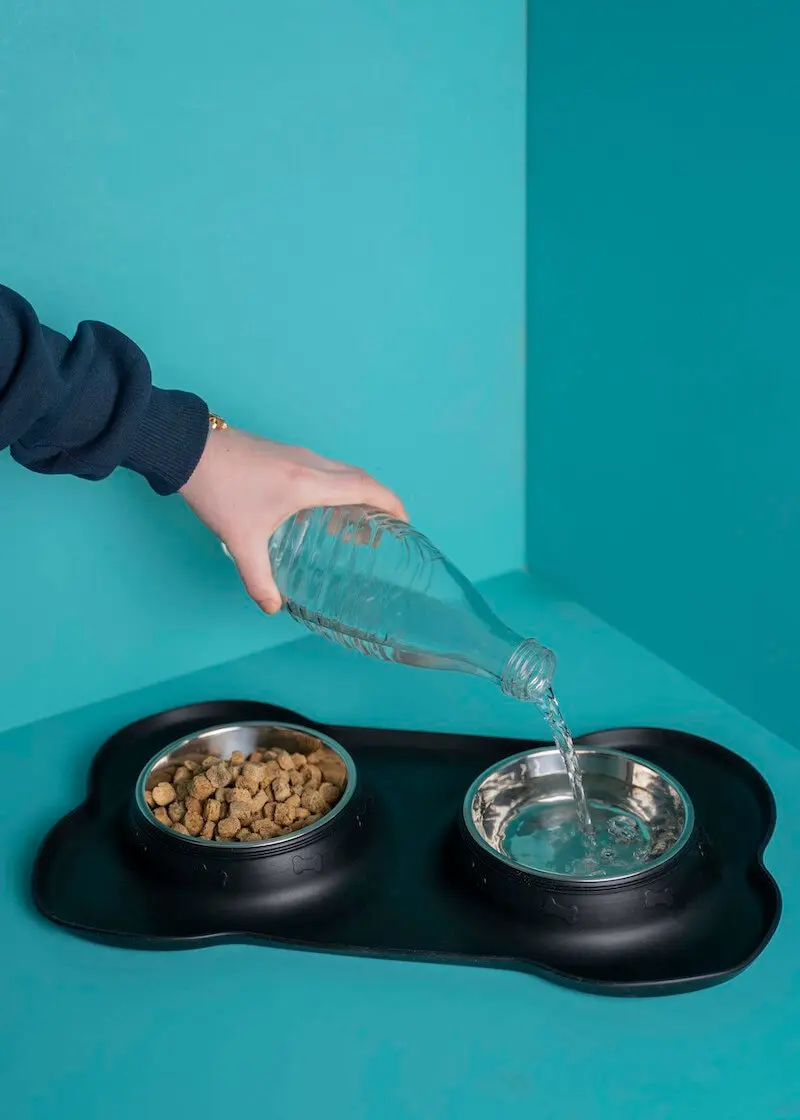 Futternapf-Trinknapf_03 Futter- und Trinknapf mit Silikonmatte