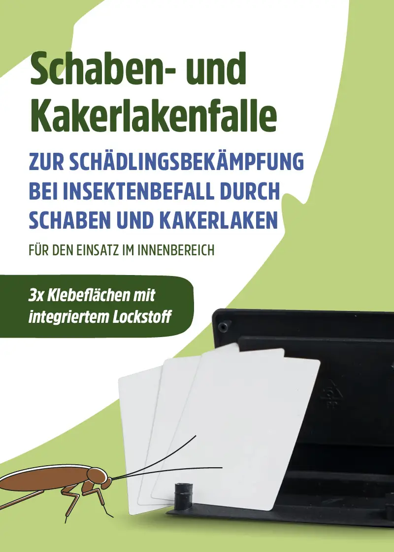 Schabenfalle | Kakerlakenfalle | Klebefalle Schaben Schabenfalle | Kakerlakenfalle | Klebefalle Schaben