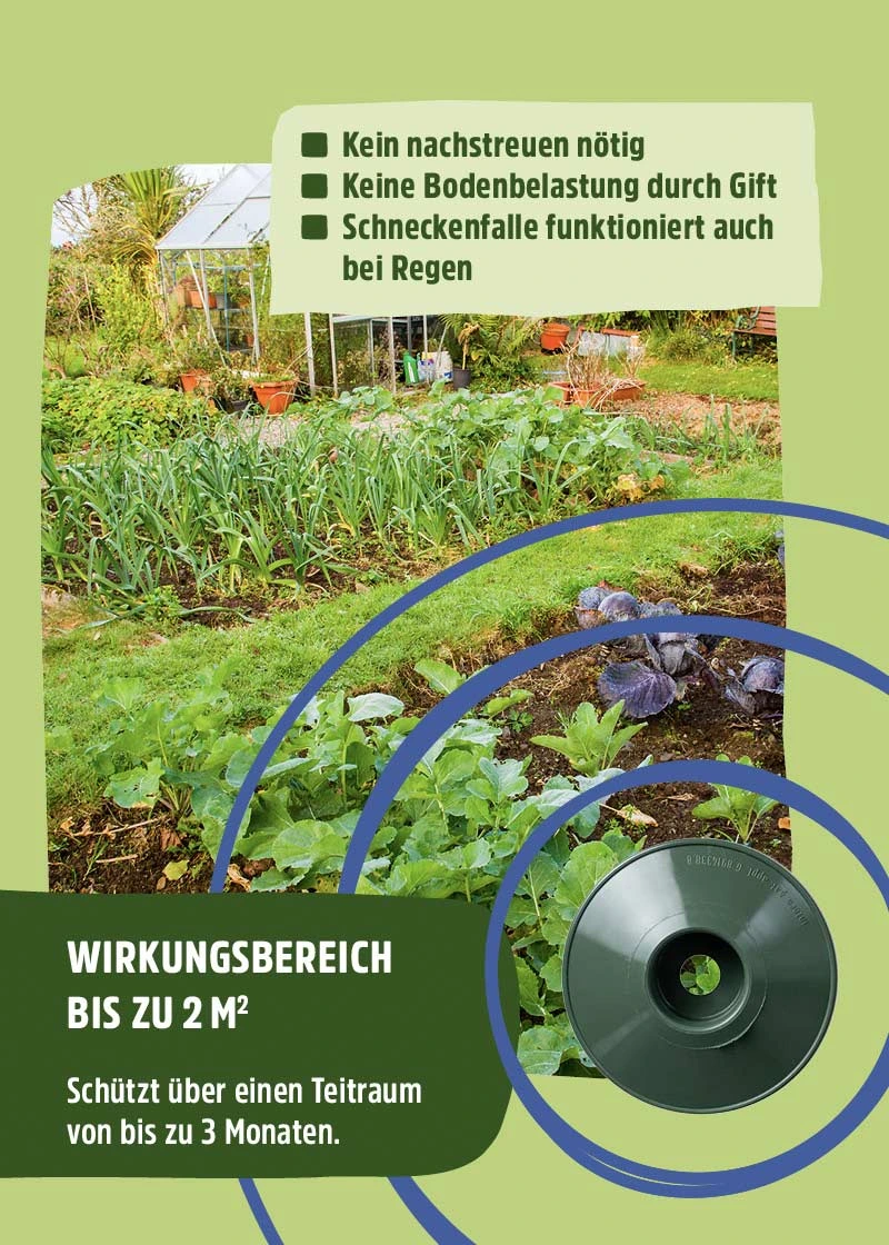 Schneckenfalle | 10 Stück Schneckenfalle | 10 Stück