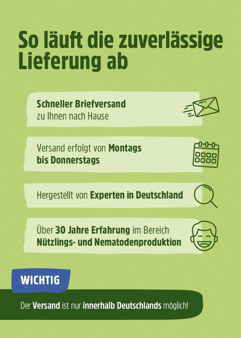 Florfliegenlarven | Nützlinge gegen Blattläuse & Wollläuse Florfliegenlarven | Nützlinge gegen Blattläuse & Wollläuse
