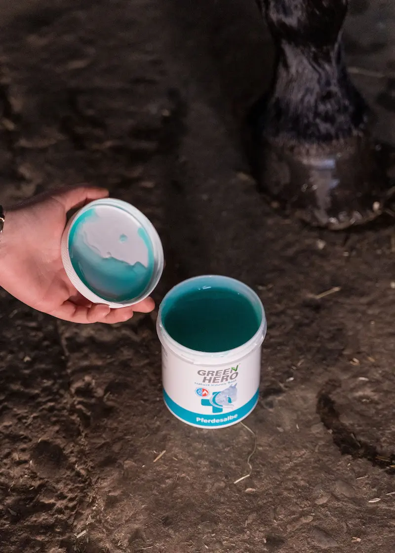 greenhero_pferdesalbe_anwendung_03 Pferdesalbe - Kühlender Balsam für dein Pferd
