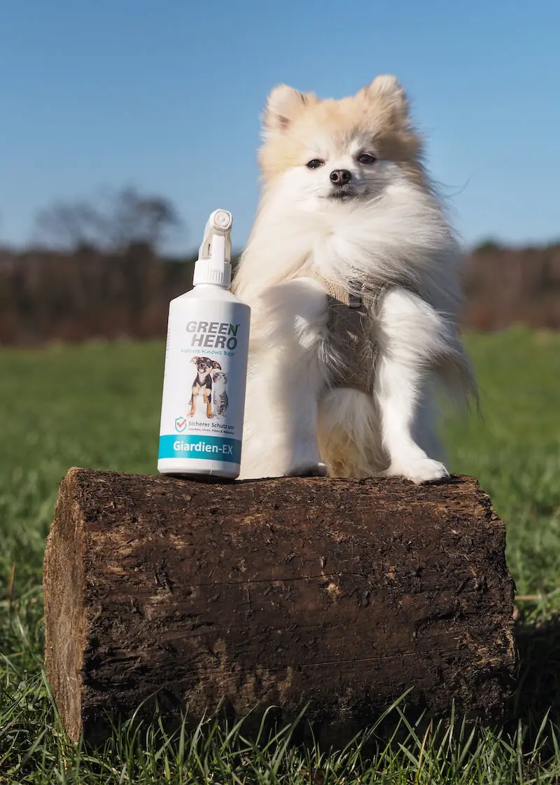 greenhero_giardien_ex_anwendung Giardien-Ex Spray gegen Giardien, Bakterien, Viren und Pilze