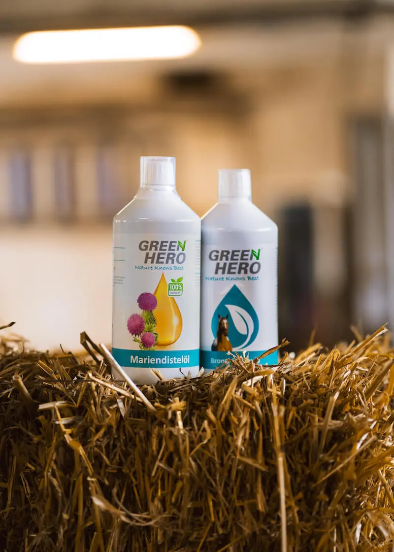 greenhero_pferde_lifestyle_12 Bronchial Liquid für Pferde mit Kräutern