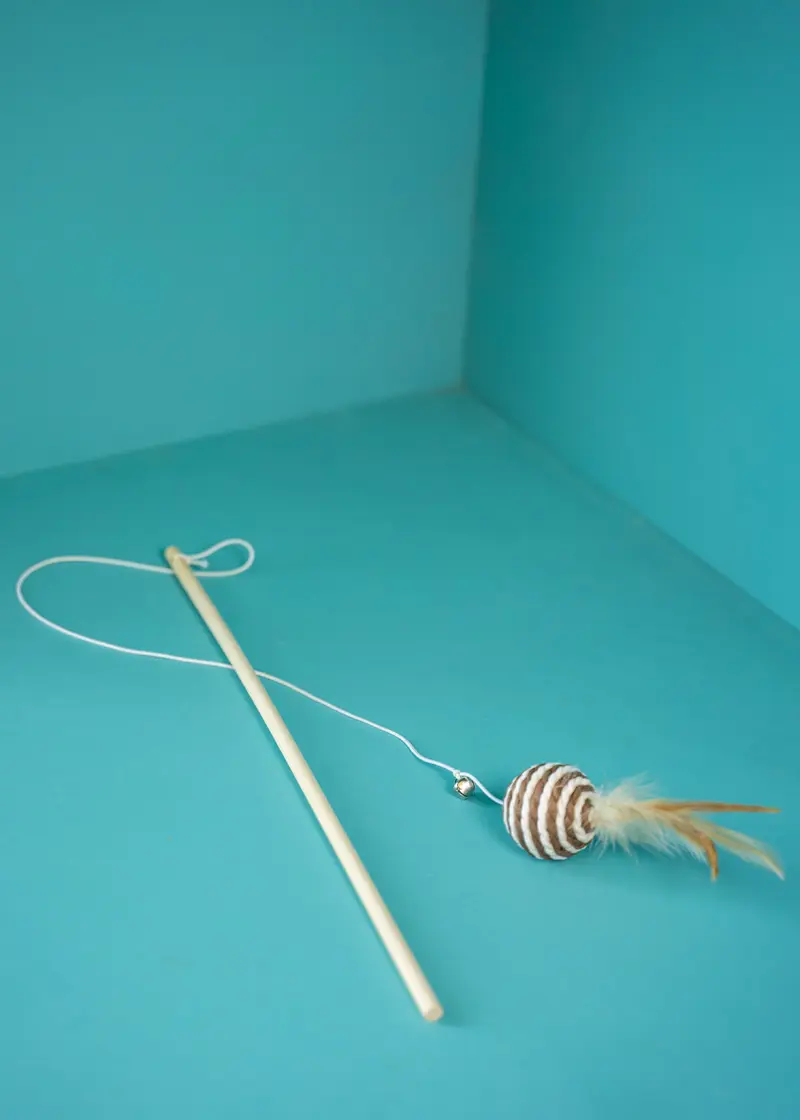 greenhero_katzenangel_5 Katzenangel mit Ball braun-weiß