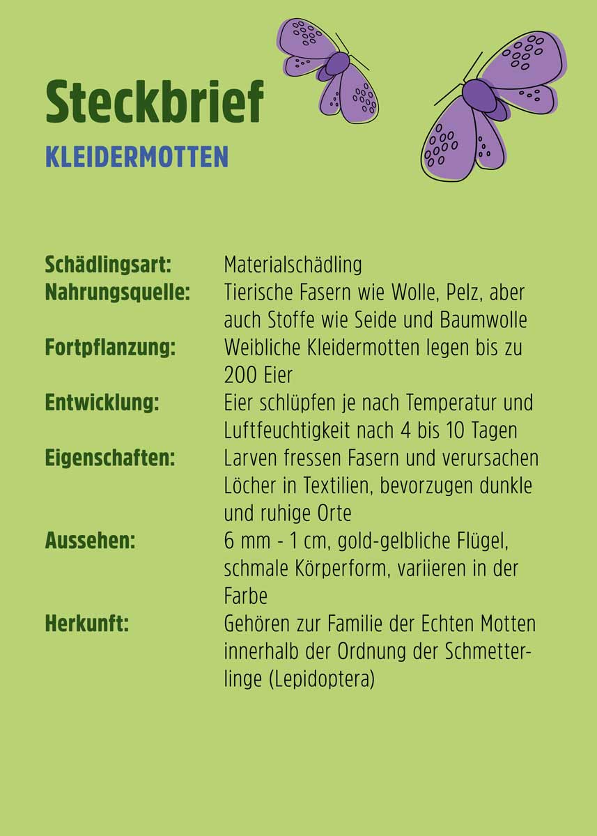 Kleidermotten Falle | Klebefalle | Pheromonfalle Kleidermotten Falle | Klebefalle | Pheromonfalle
