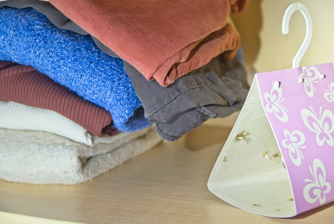 startseite-kategorie-pheromonfallen startseite-kategorie-pheromonfallen