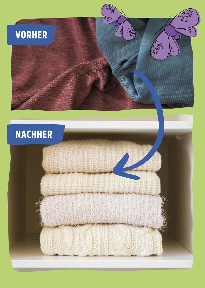 Schlupfwespen gegen Kleidermotten Schlupfwespen gegen Kleidermotten