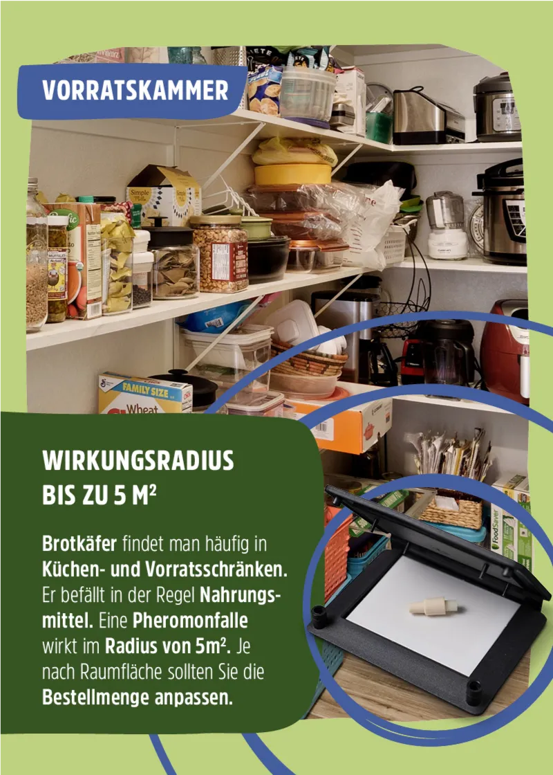 Brotkäfer Pheromonfalle Brotkäfer Pheromonfalle