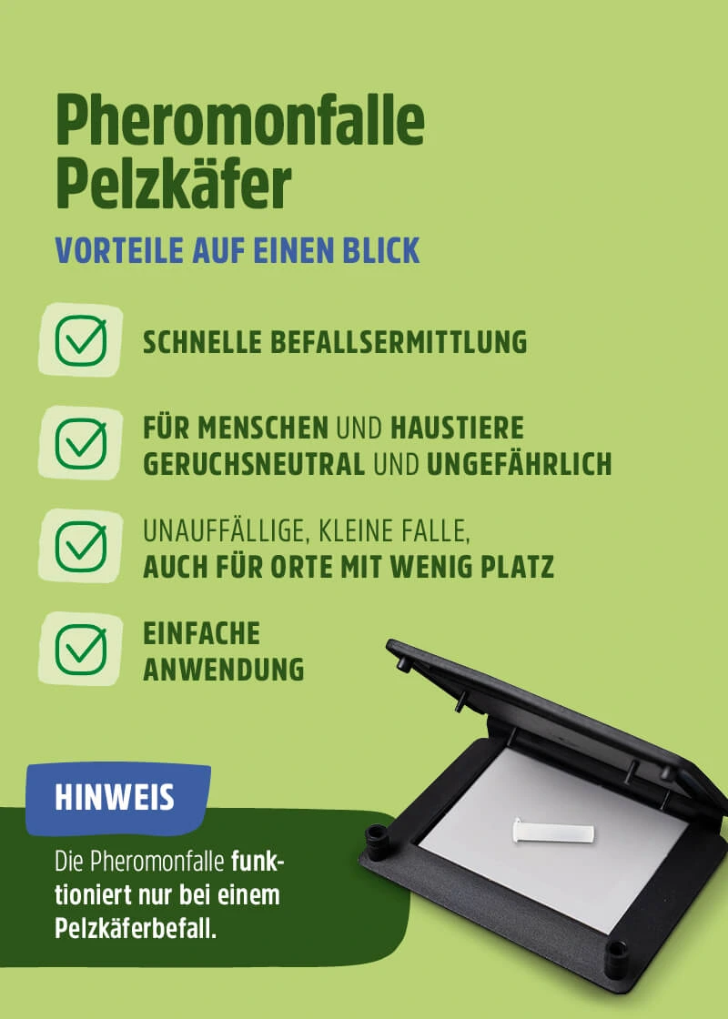 Pelzkäfer Pheromonfalle | Klebefalle Pelzkäfer Pheromonfalle | Klebefalle