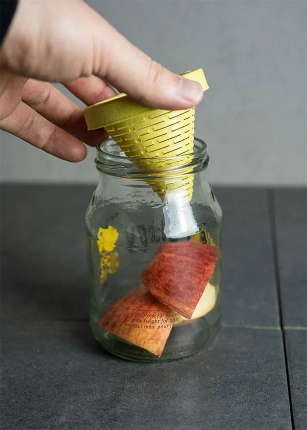 Unbenannt-3-1 Natürliche Wespen Lebendfalle / Wespenfänger aus Glas